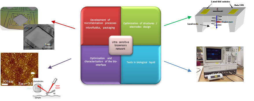 GaAs Biosensor